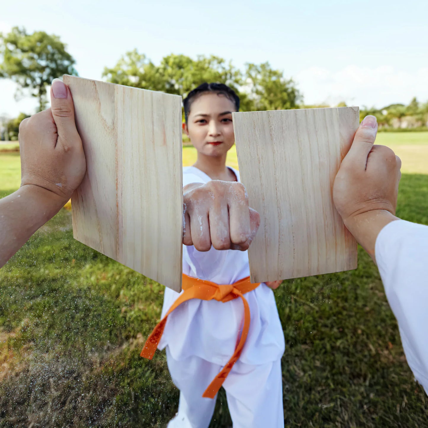 10-Piece Taekwondo Breaking Boards, 0.3/0.6cm - Karate Practice Punching Boards, Breakable Wood Sheets